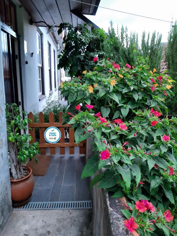 Casa Do Sr. Falcao Miranda do Corvo Εξωτερικό φωτογραφία