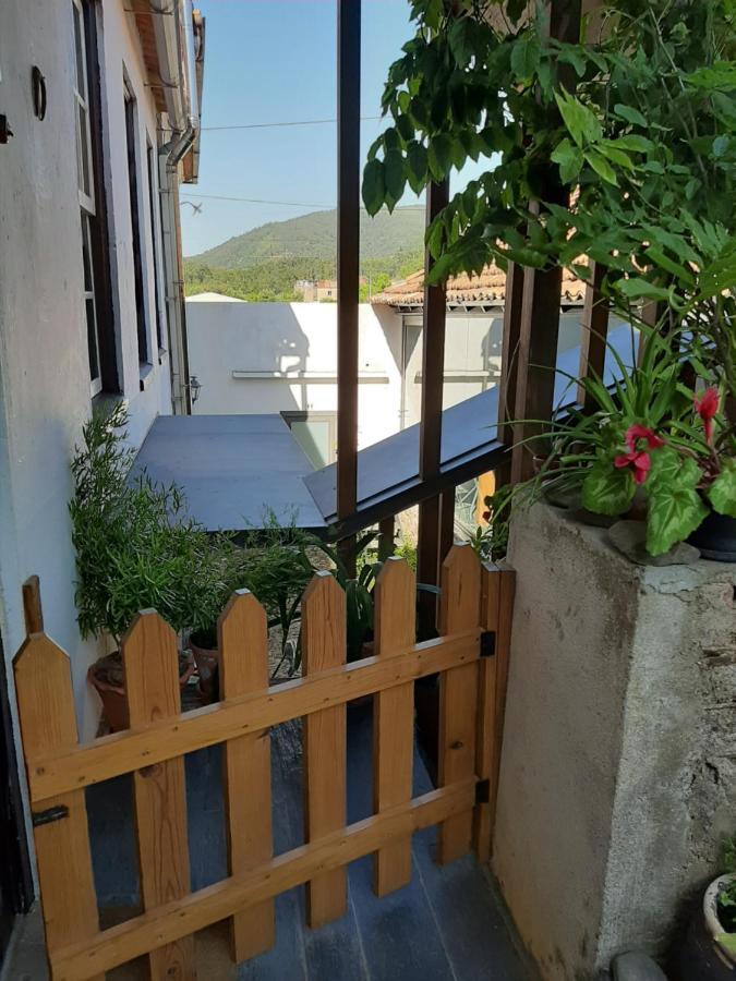 Casa Do Sr. Falcao Miranda do Corvo Εξωτερικό φωτογραφία