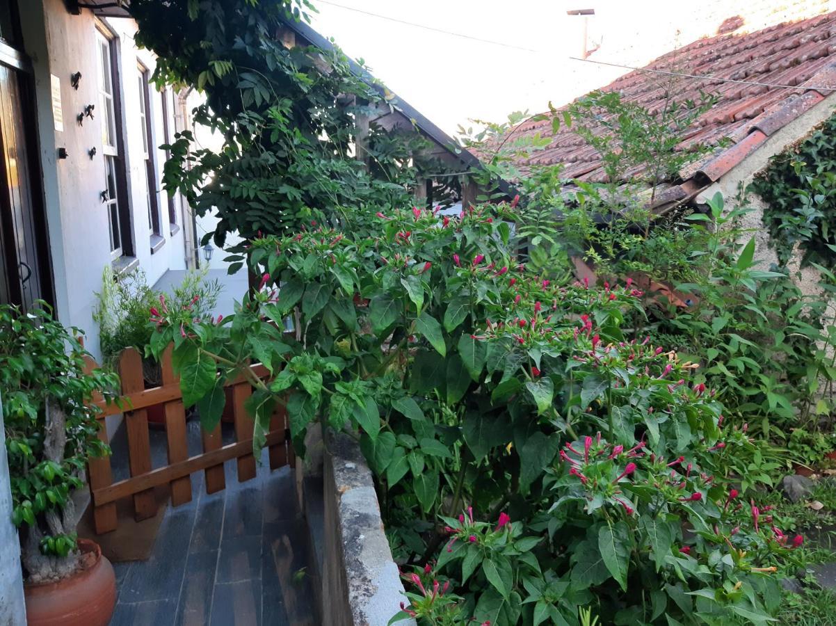 Casa Do Sr. Falcao Miranda do Corvo Εξωτερικό φωτογραφία