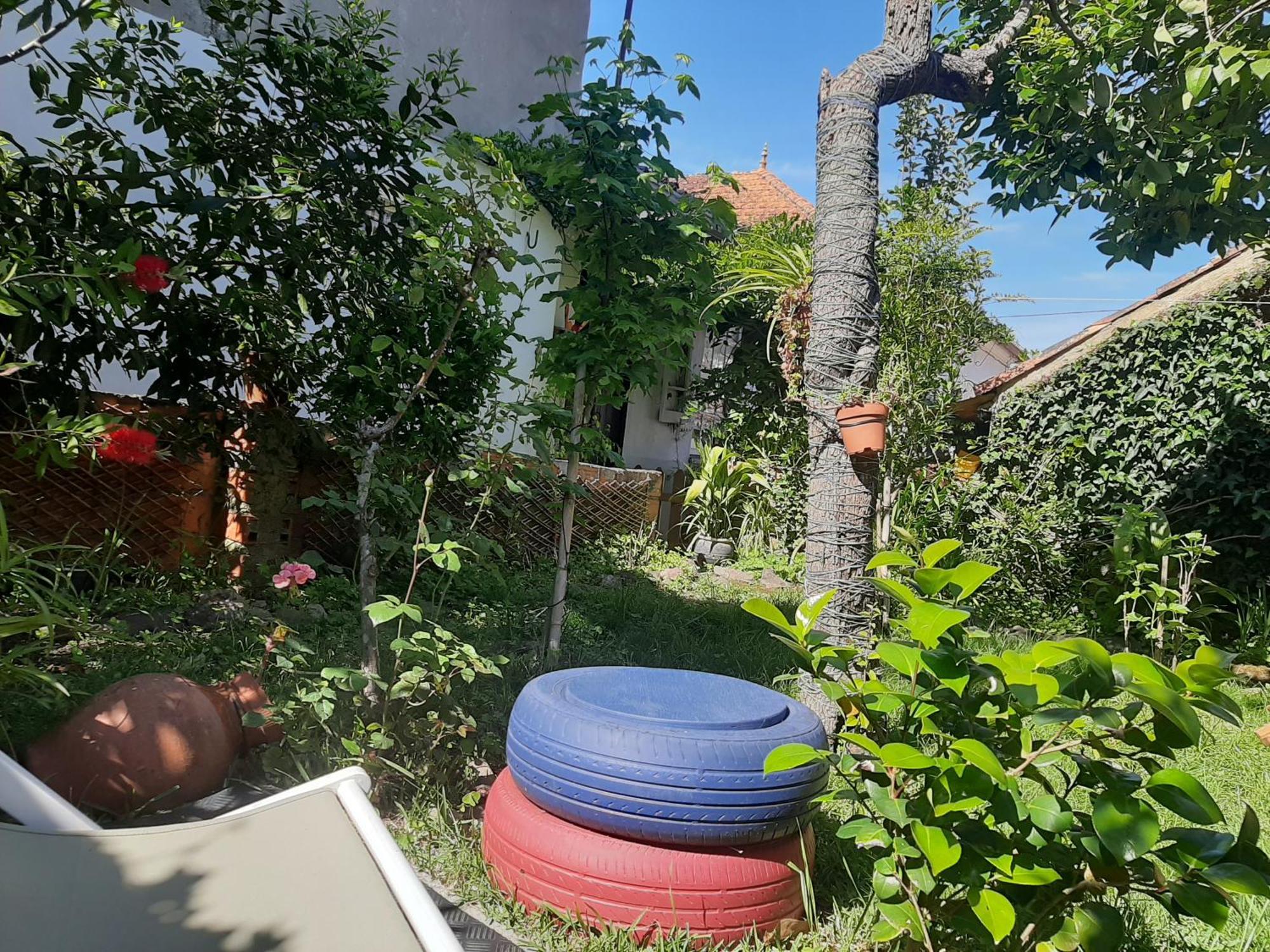 Casa Do Sr. Falcao Miranda do Corvo Εξωτερικό φωτογραφία